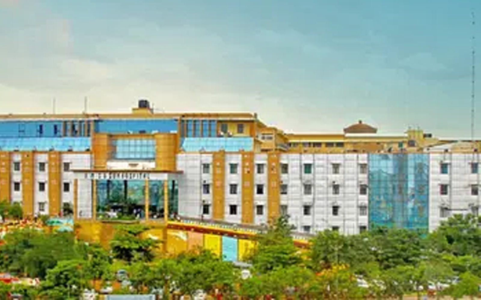 Amaltas Institute